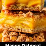Mango Oatmeal Crumble Bars – A Tropical Treat for Every Occasion